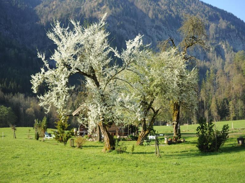 Hansenbauernhof Inkl. Chiemgaukarte Ruhpolding Buitenkant foto